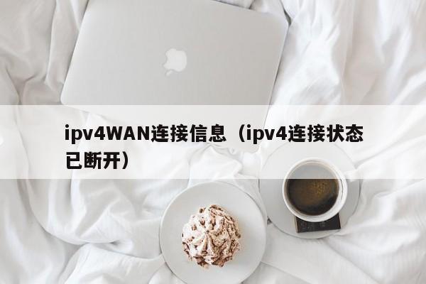 ipv4WAN连接信息（ipv4连接状态已断开）