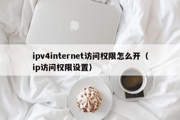 ipv4internet访问权限怎么开（ip访问权限设置）